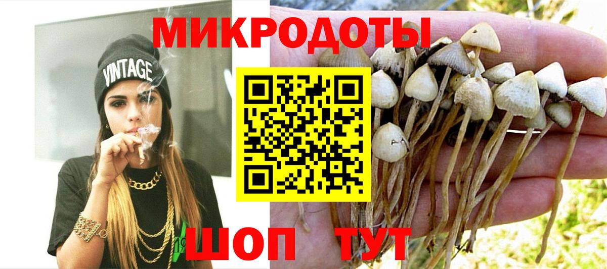 Галлюциногенные грибы мухоморы Абакан