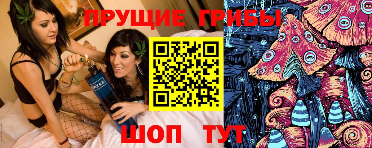 Псилоцибиновые грибы MAGIC MUSHROOMS  Галлюциногенные грибы MAGIC MUSHROOMS  Вход с VPN  Абакан 